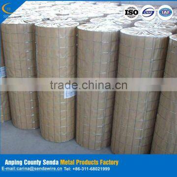 2016 Hot Sale New Products/ Stainless Steel Welded Wire Mesh photo-3