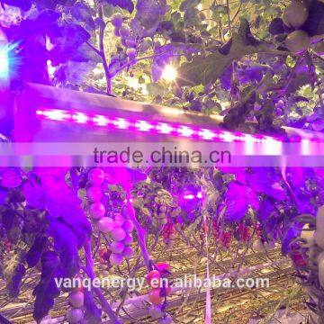 vanq grow light bar 150w hydroponics led plant waterproof high power greenhouse lamp