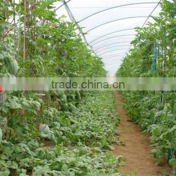 Low Cost Plastic High Tunnel Greenhouse photo-2