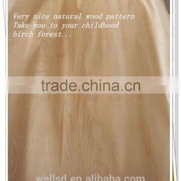 Linyi Supply Best Quality Rigging Hardware Item Chain Hoist photo-2