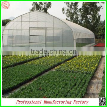 single-span large tunnel solar greenhouse for flower/vegetable growing