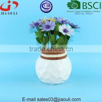 Dolomite Material Biodegradable Planter Small Ceramic Planter for Succulent Plants photo-2