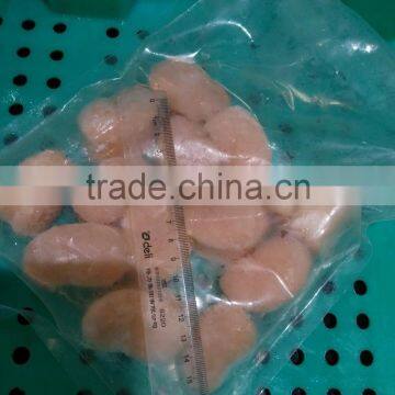 Frozen IQF Fresh and New Produced Bay Scallop for Sale