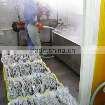 High Frozen Vacuum Packed Short Necked Clam photo-4