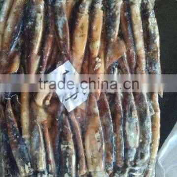 Wholesale Fresh Frozen Illex Squid Price photo-2