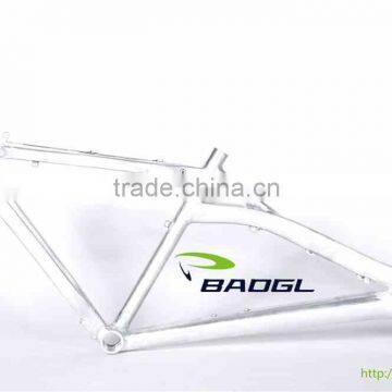 Zhejiang BAOGL bicycle frame for 20 inch