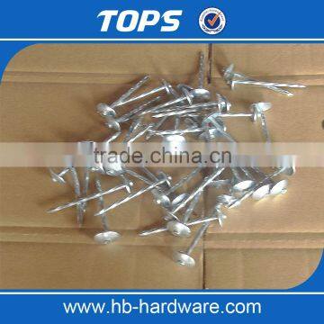 China Really Manufacture Roofing Umbrella Nail photo-6