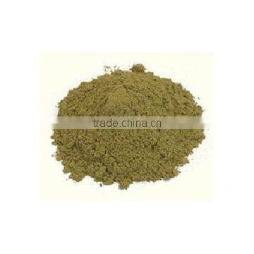 Ocimum sanctum extract