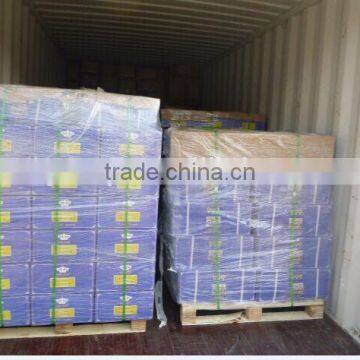 Organic EU Standard Chunmee Green Tea 9366 photo-6