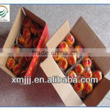 Mini Size Baby Juicy Orange photo-6