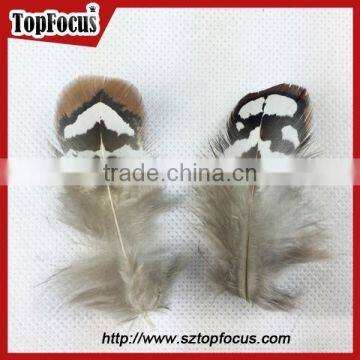 Hot Sale Dyed Wholesale Natural Cheap Artificial Pheasant Feathers Prices photo-6
