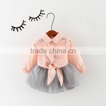 Boutique Princess Clothes Set Spring Baby Long Sleeve Shirt Gray Skirt Children Girl Wear 2017 photo-2
