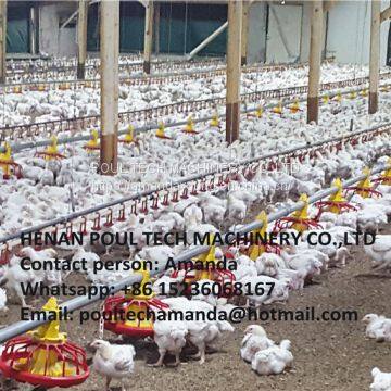 Ecuador Poultry Farm Equipment Automatic Broiler Floor Raising System & Chicken Deep Litter System with Automatic Drinking& Feeding System in Chicken Shed