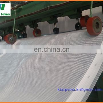 Leno Transparent Scaffolding PE Tarpaulin Sheet