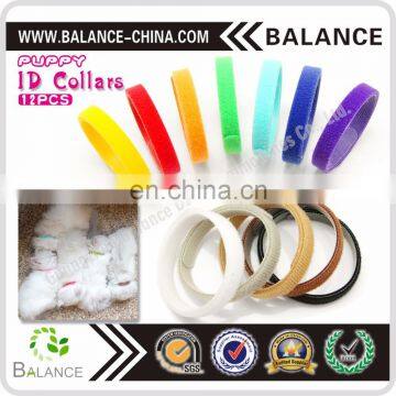 Hook & Loop Puppy Kitten ID Collar With 12 Colors photo-3