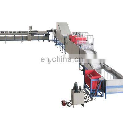 Hot Sale Fruit Calibration Machine Fruit and Vegetable Sorting Machine High Performance with Factory Price Orangemech 3-5 T/8h