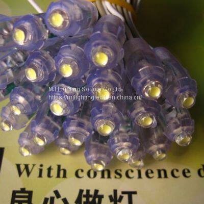 LED Decoration Light 9mm 12mm LED Pixel Strings White Color 5V 12V Lightings For Outdoor Signage photo-5