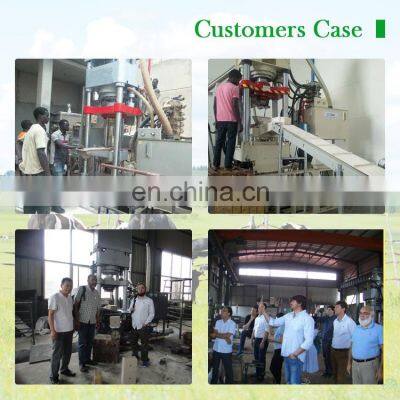 Customized Mineral Cow Salt Lick Block Making Press Machine