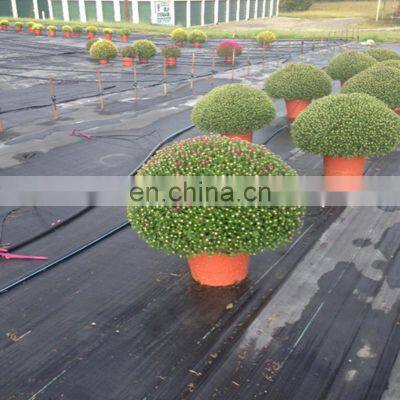 100% New Hdpe Anti Grass Ground Cover Polypropylene Woven Mat Pp Plastic