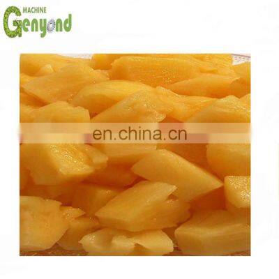 Canned Ananas Orange Slice Making Production Processing Line