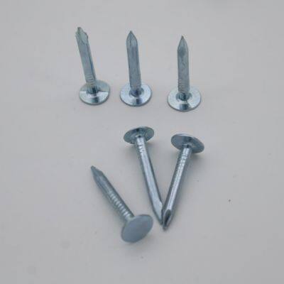China Factory Flat Head Roofing Nails 1kg Box With Warranty and OEM Support photo-5