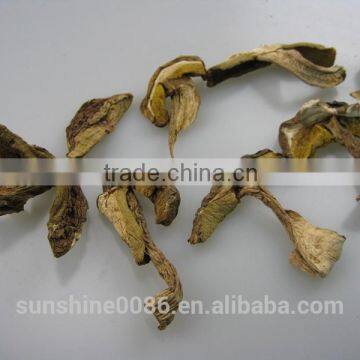 Dried Boletus Edulis Sliced Porcini Mushroom Farm Investors photo-4