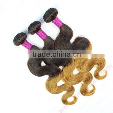 Human Ombre Hair Bulk Remy Raw Virgin Russian Hair Extensions Wholesale Accept Paypal                        
                                                Quality Choice