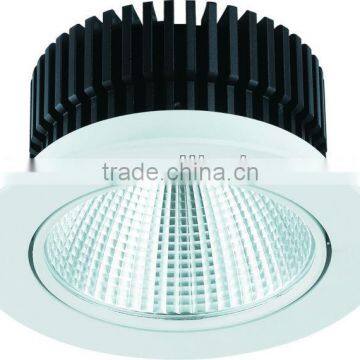 CE&RoHS High Power COB LED Downlight 30W