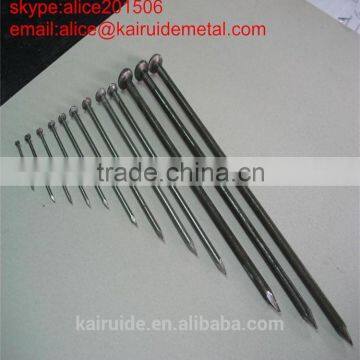 Factory Produce Competitive Priceall Size of Common Iron Nail With Haigh Quality From photo-2