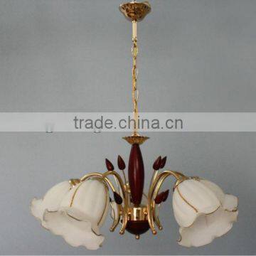 Modern wood chandelier&glass pendant lamp 6906-5