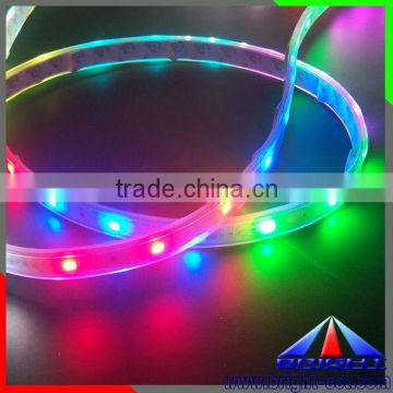 magic LED Strip,32 leds/m,1 IC 1 LED light