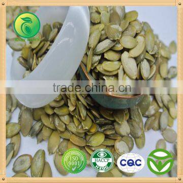 high quality Grade A Snow White Pumpkin Kernel wholesale competitive price