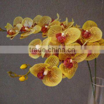 High quality latex orchid yellow phalaenopsis orchid