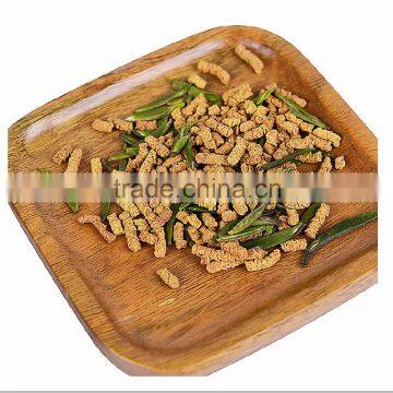 Chinese Brands Paper Box Import Pricing Tartary Buckwheat Green Tea photo-2