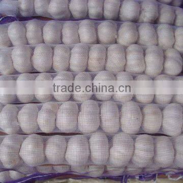 chinese new crop garlic