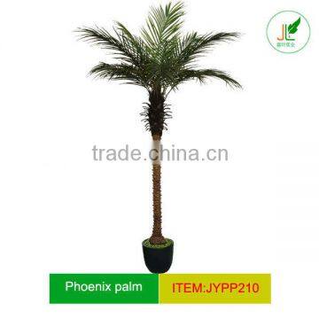 Artificial phoenix palm tree with single trunk