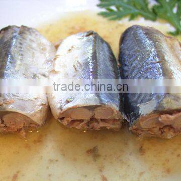 Chinese Canned Mackerel in Natural Oil to Samoa photo-3