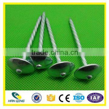 Smooth Shank Roofing Nail High Quality Made in China photo-3