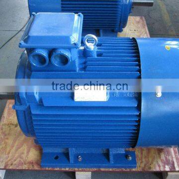 ELECTRIC MOTOR