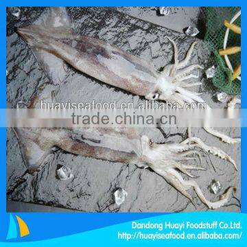 frozen squid wholesale