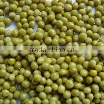 Canned Green Peas With Good Quality for Sale