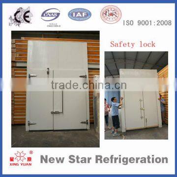 cold storage room free door/single double swing door