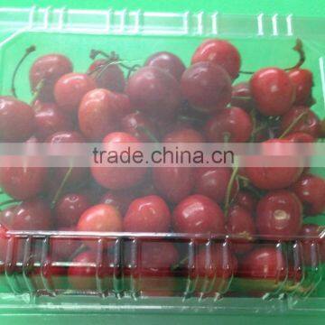 Disposable plastic tray with holes for packing