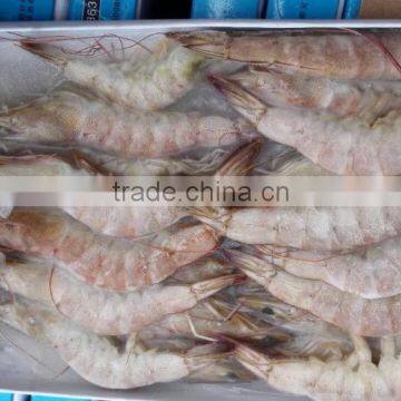 sea frozen vannamei white shrimp