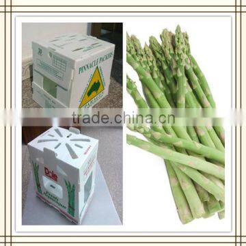 PP Protective Asparagus Packing Boxes