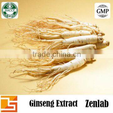 american ginseng root dried extract for panax ginseng extract oral liquid and ginseng oral liquid