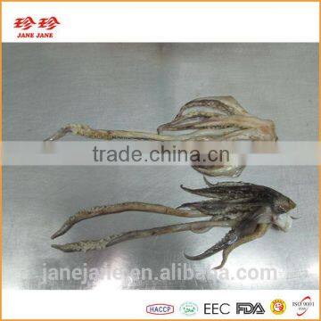 Frozen Squid Tentacle - Ommastrephes Bartrami photo-2