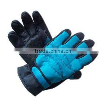 Ski Snowboarding Gloves Ice Gloves