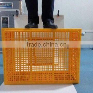 Durable yellow plastic crate basket for live chicken transportation (skype: zh-lydia)