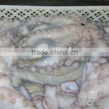 frozen fresh frozen octopus